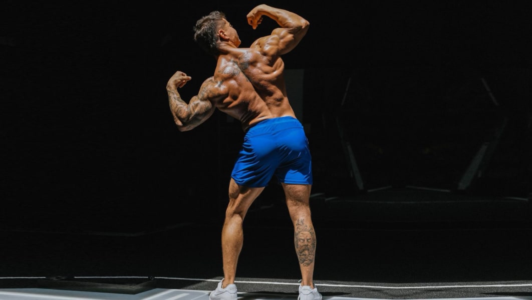 program highlights from creator