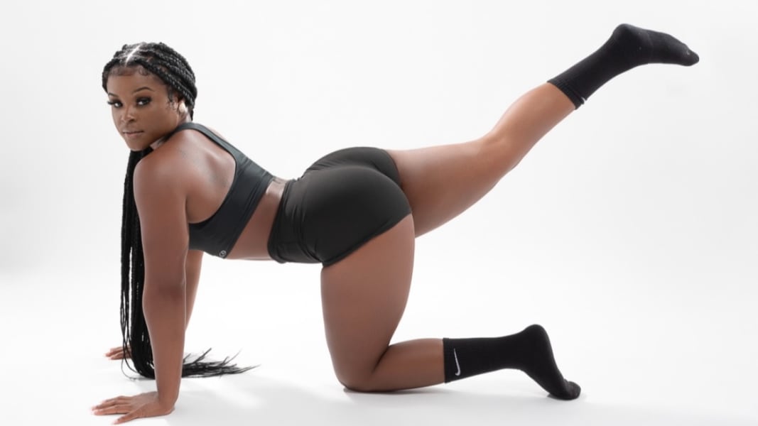 program highlights from creator