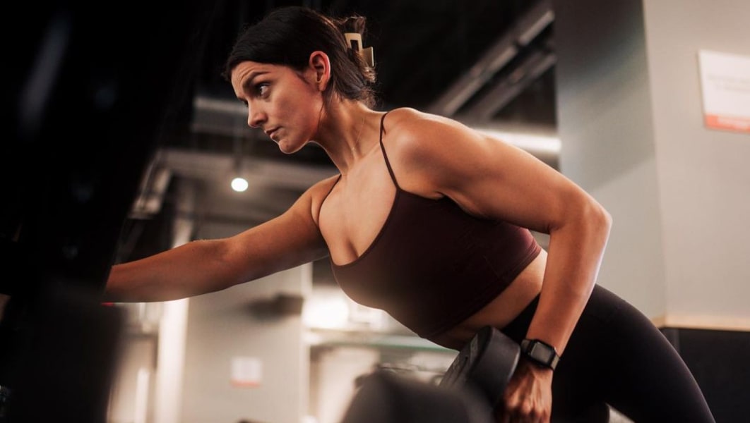 program highlights from creator