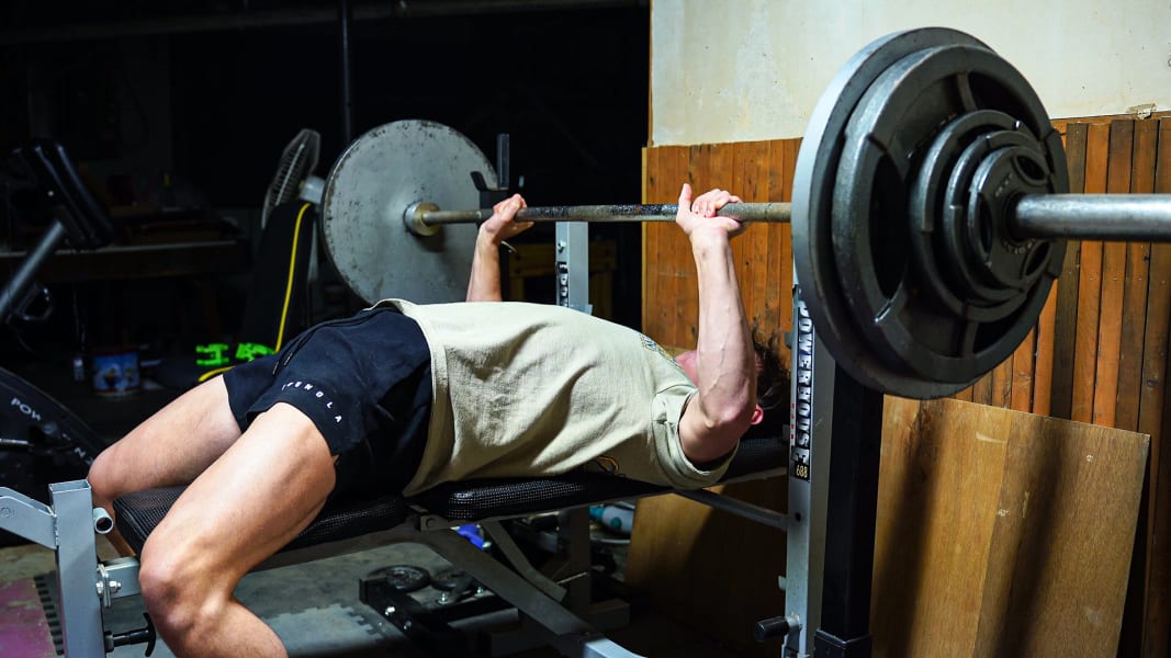 program highlights from creator