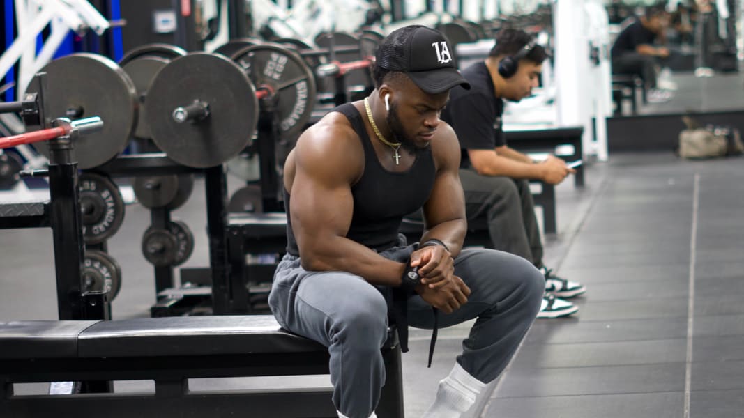 program highlights from creator