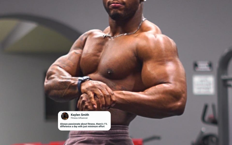 program highlights from creator