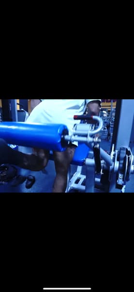 program highlights from creator