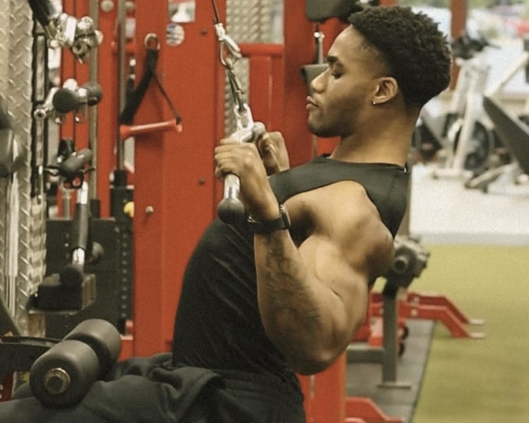 program highlights from creator