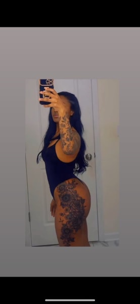 program highlights from creator