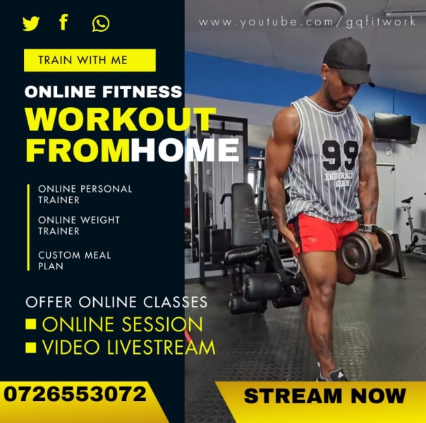 program highlights from creator