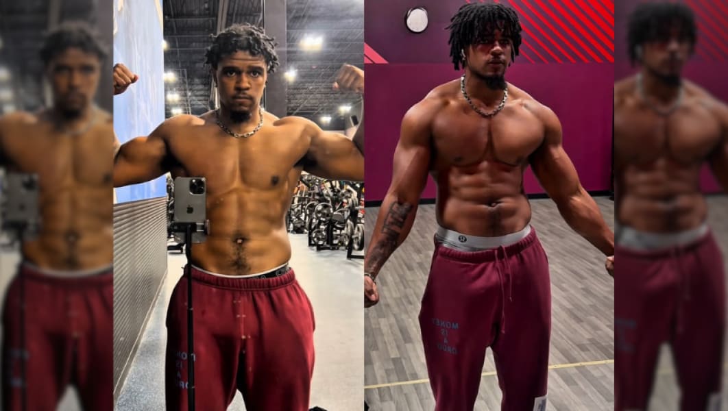 program highlights from creator