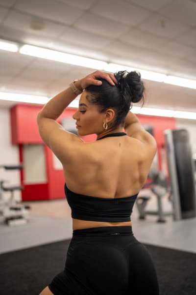 program highlights from creator