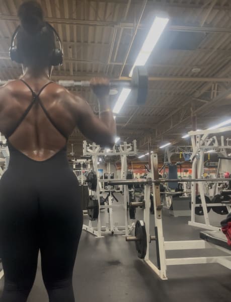 program highlights from creator