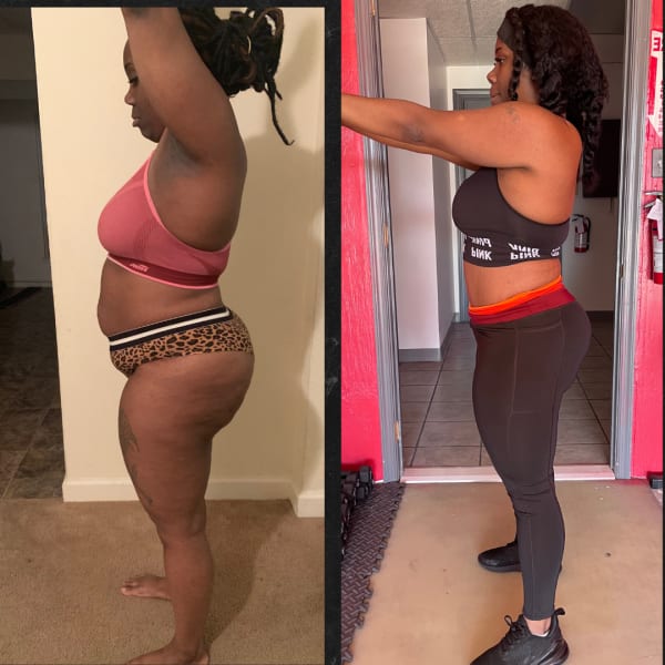 program highlights from creator