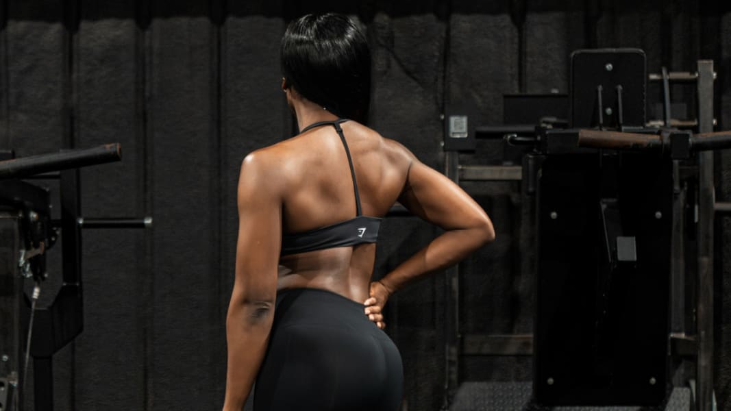 program highlights from creator