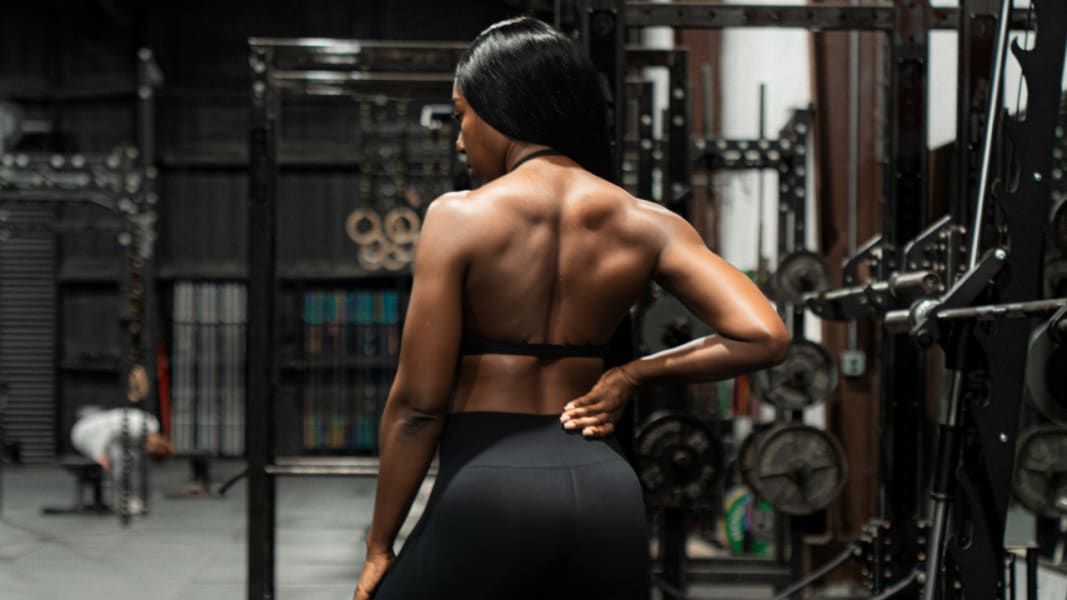 program highlights from creator