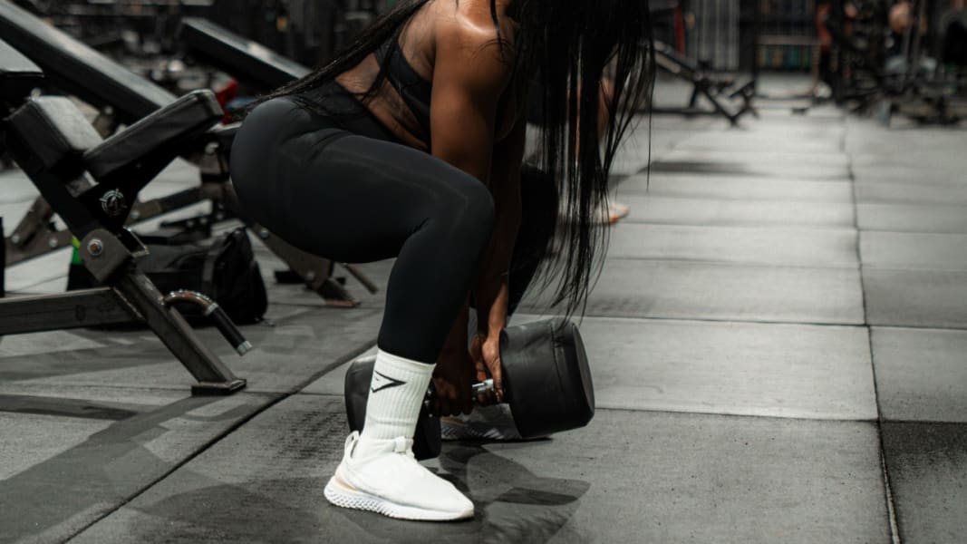 program highlights from creator