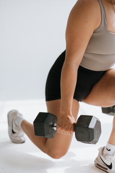 program highlights from creator