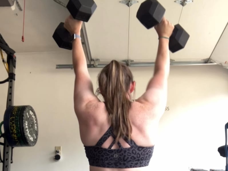 program highlights from creator