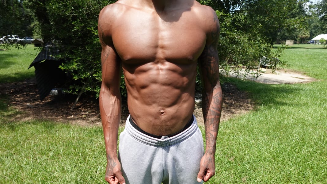 program highlights from creator