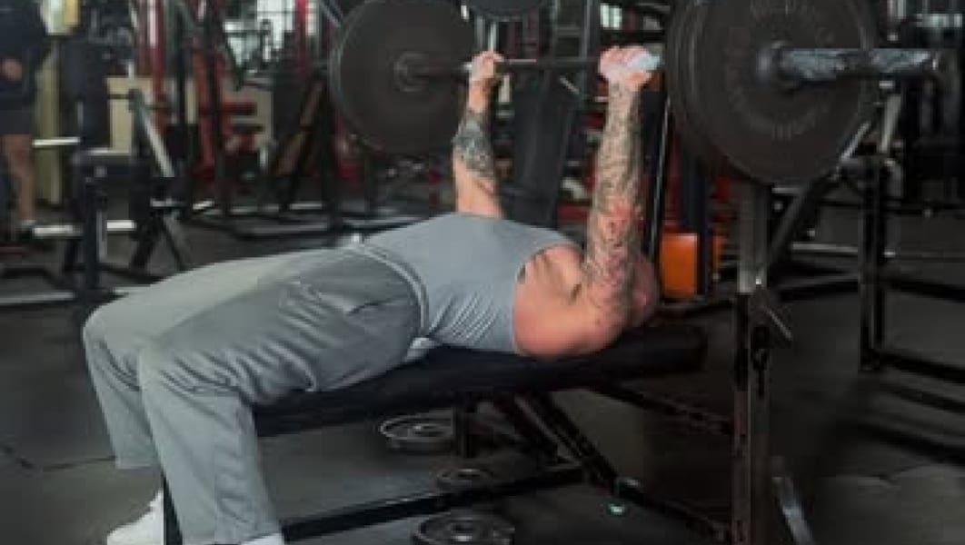 program highlights from creator