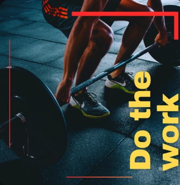 program highlights from creator