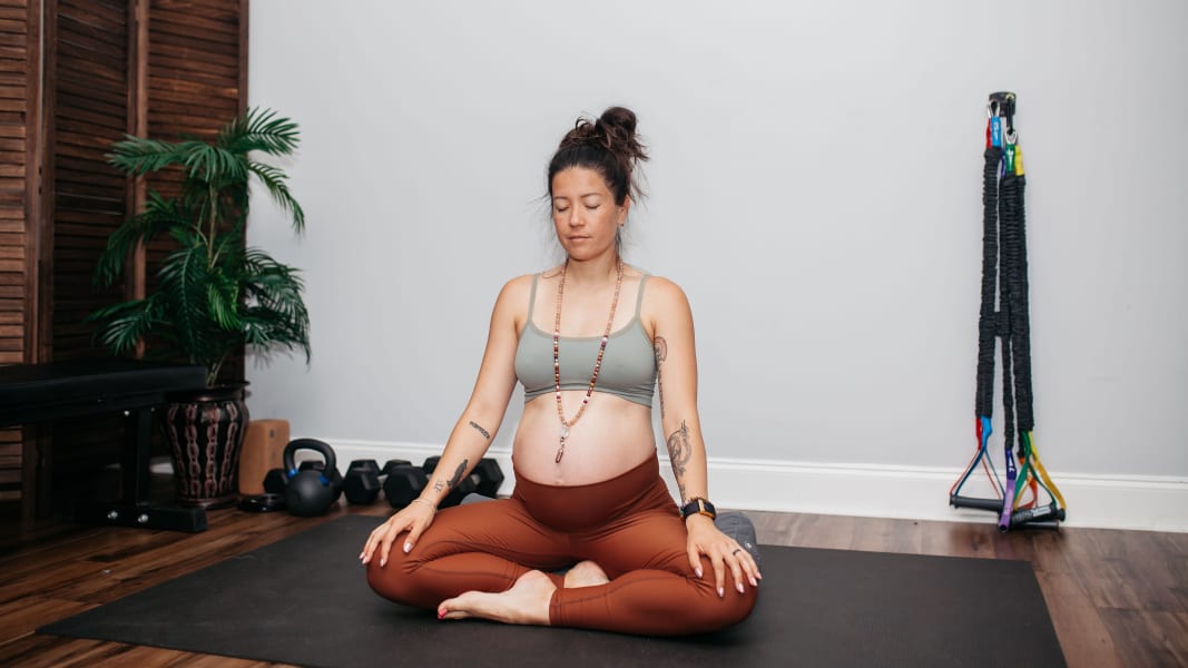 program highlights from creator