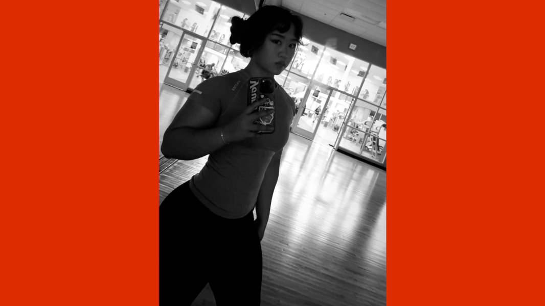 program highlights from creator