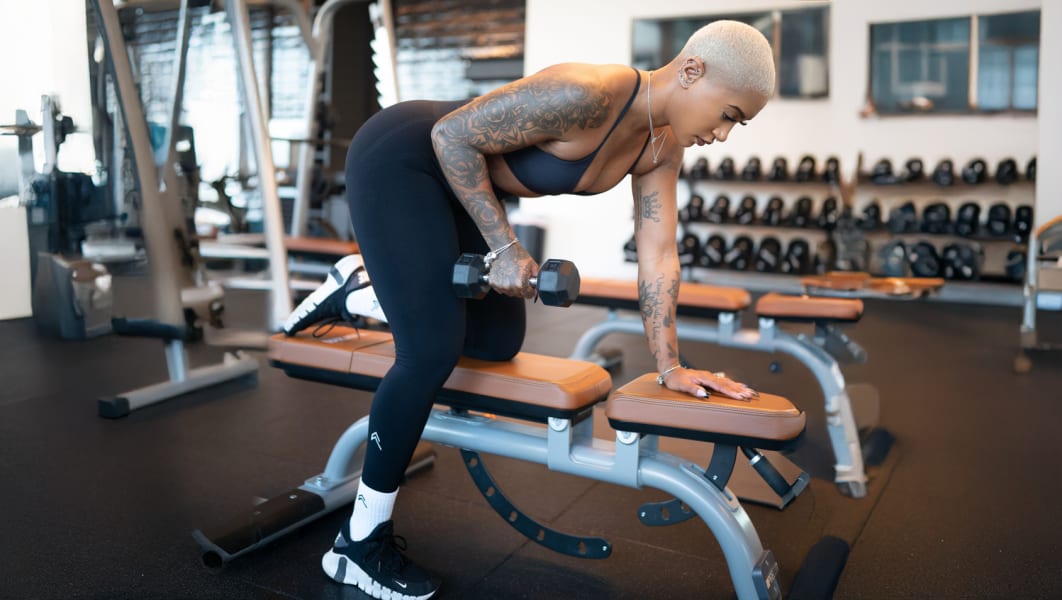 program highlights from creator