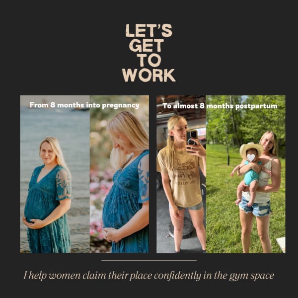 program highlights from creator