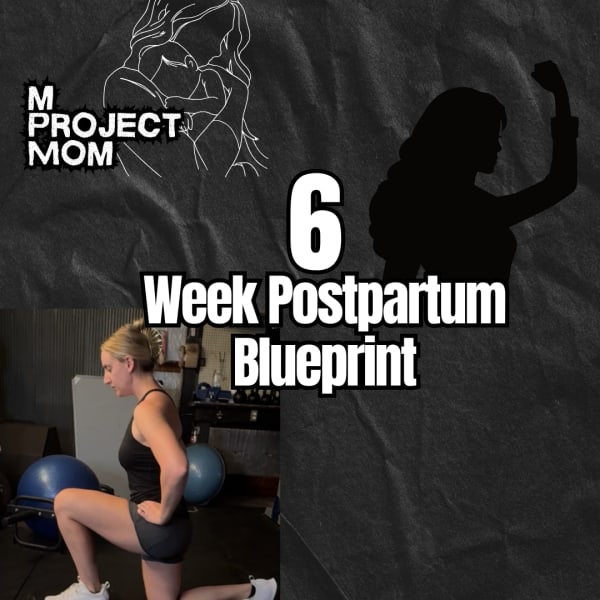 program highlights from creator