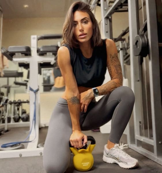 program highlights from creator