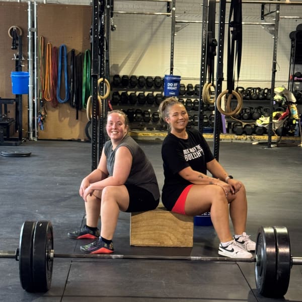 program highlights from creator