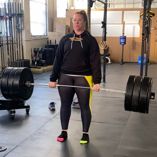 program highlights from creator