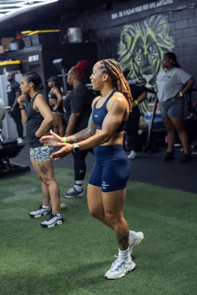 program highlights from creator