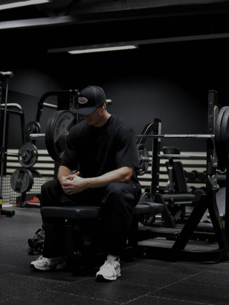 program highlights from creator