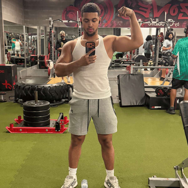 program highlights from creator