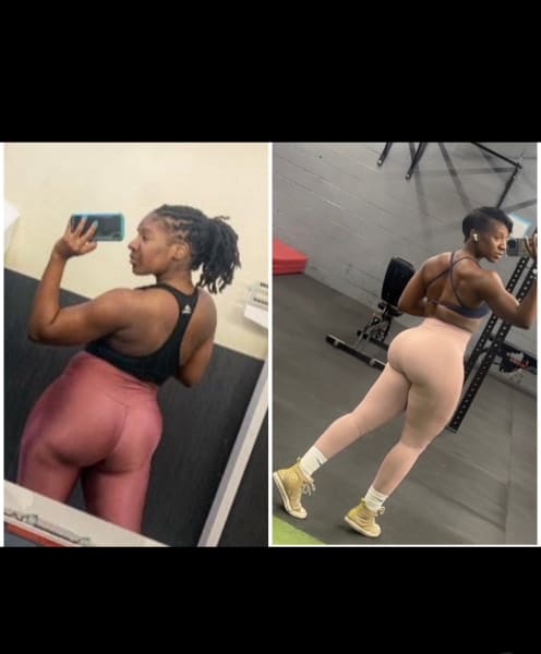 program highlights from creator