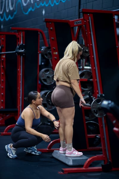 program highlights from creator