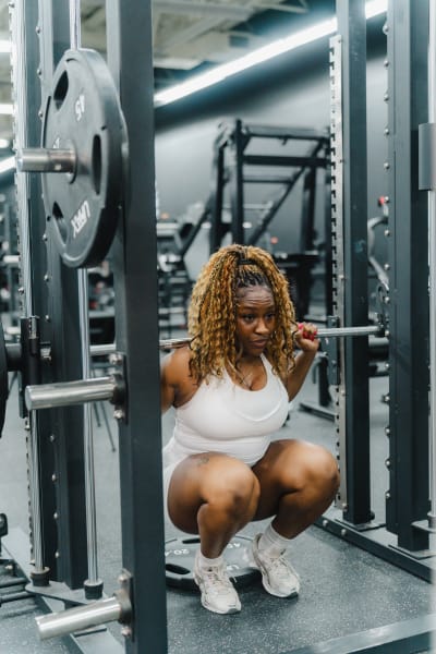 program highlights from creator