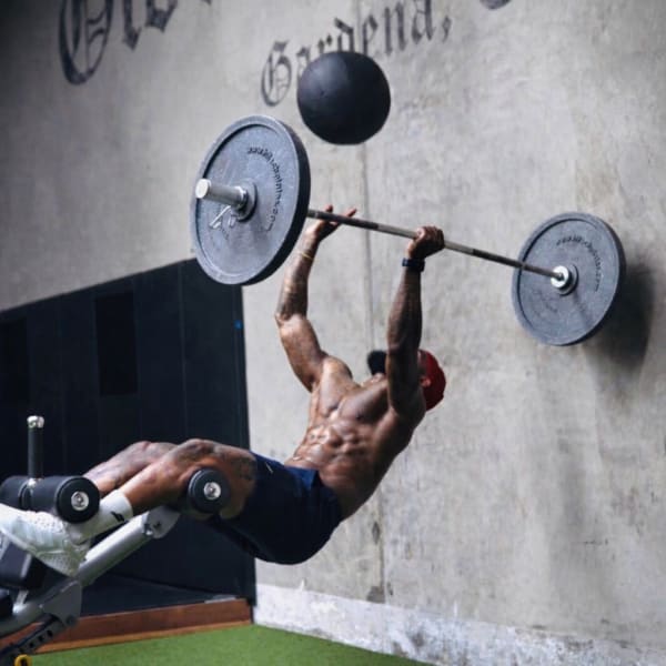 program highlights from creator