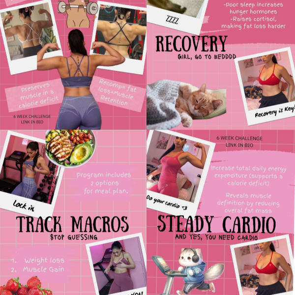 program highlights from creator