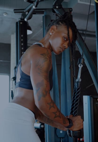 program highlights from creator