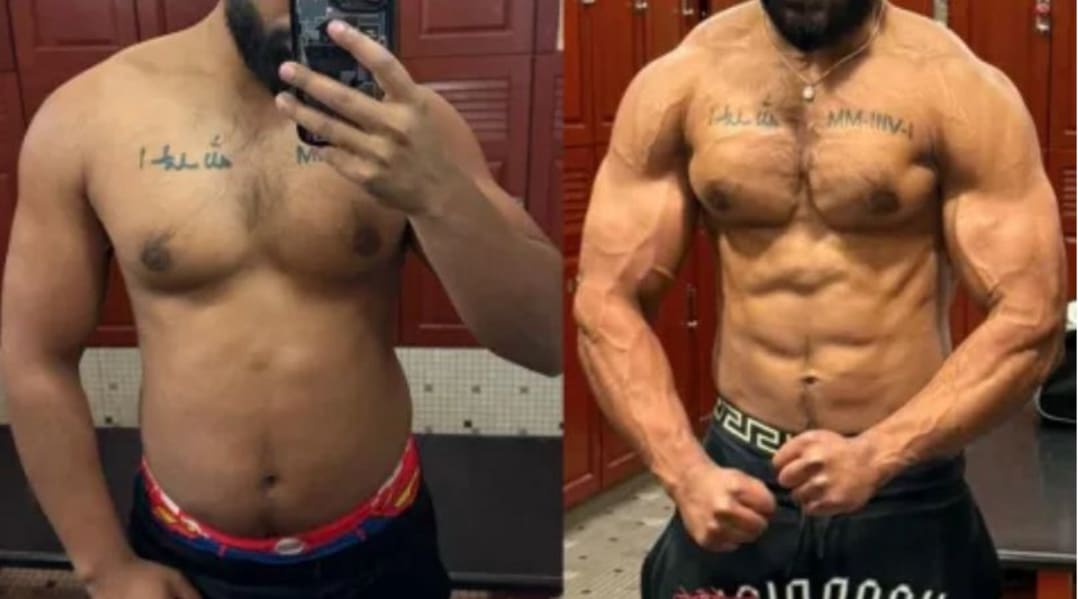 program highlights from creator