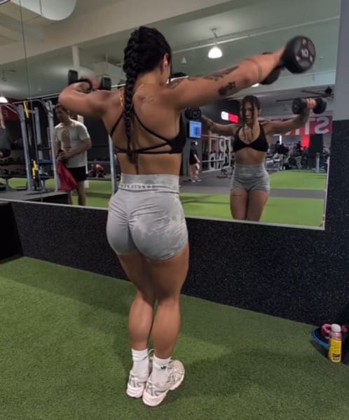 program highlights from creator