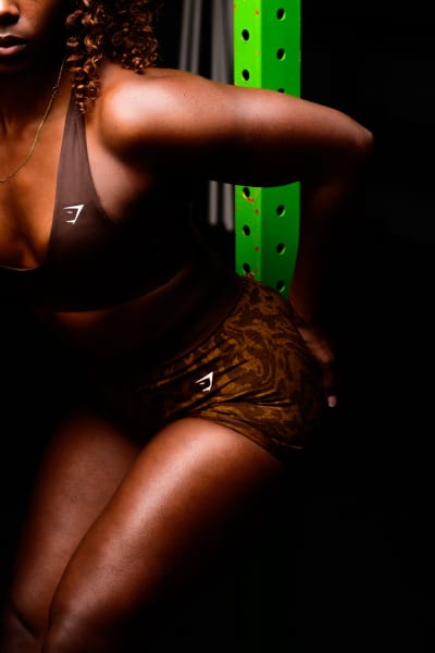 program highlights from creator