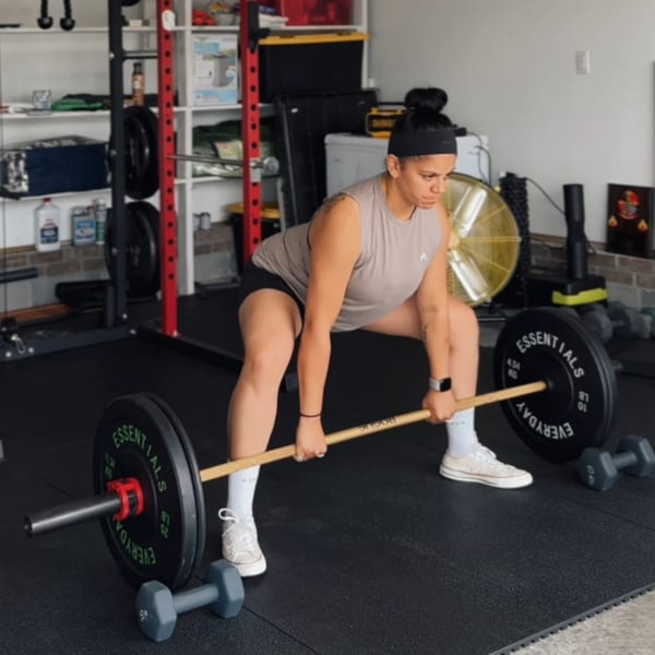 program highlights from creator