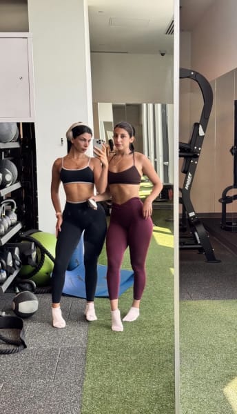 program highlights from creator