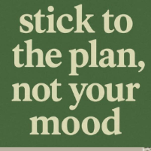 program highlights from creator