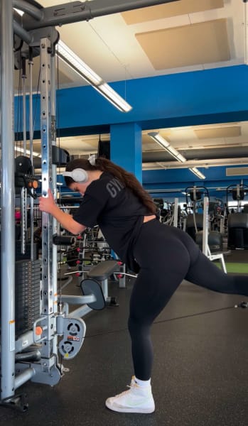 program highlights from creator