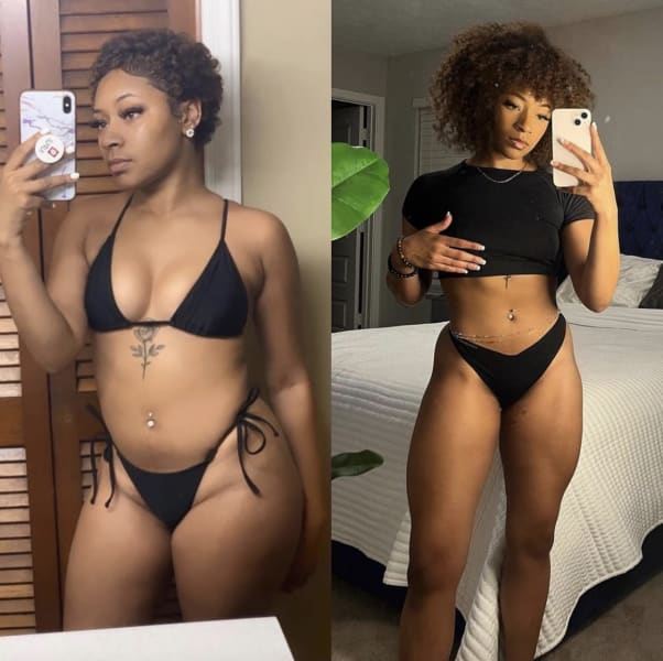 program highlights from creator