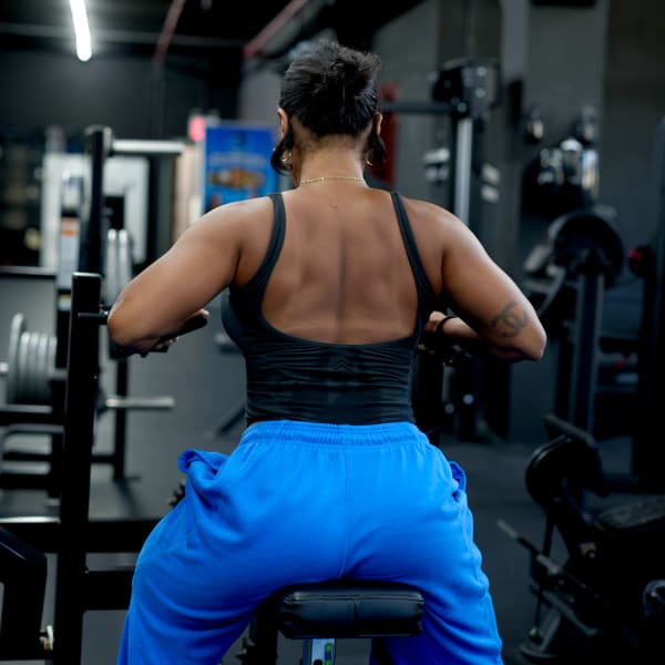 program highlights from creator