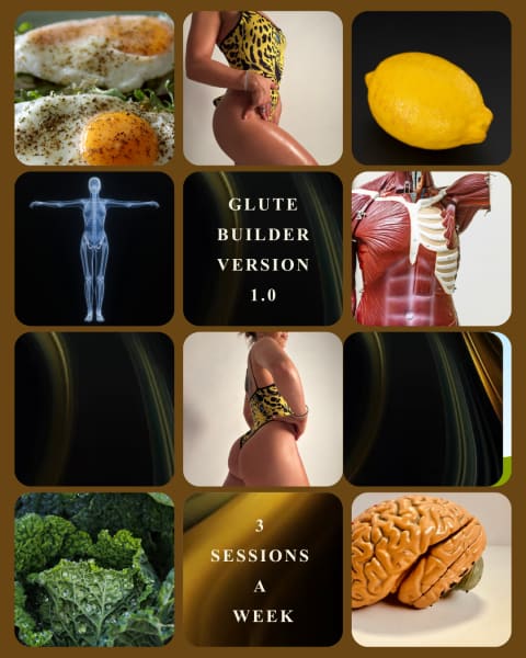 program highlights from creator