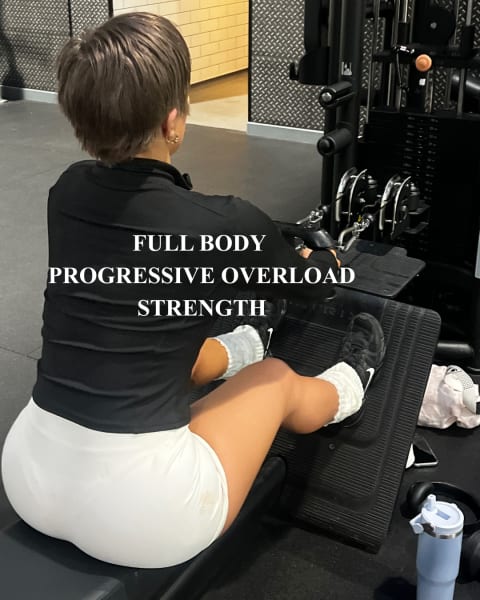 program highlights from creator